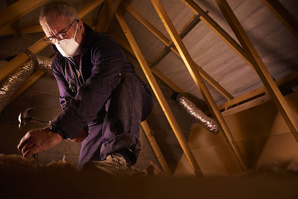 Types of Insulation We Offer in Whitehall, WI